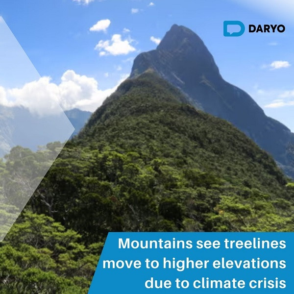 Mountains see treelines move to higher elevations due to climate crisis