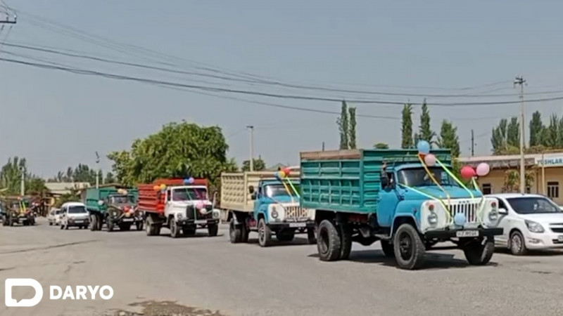 Видео: Наманганда “ГАЗ-53” автомобилларидан иборат тўй кортежи ҳаракатланди