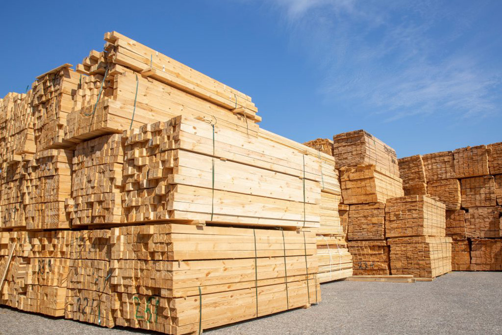 Russian wood industry hit hard as Kazakhstan sanctions block key route to Uzbekistan, threatening 40% of exports 