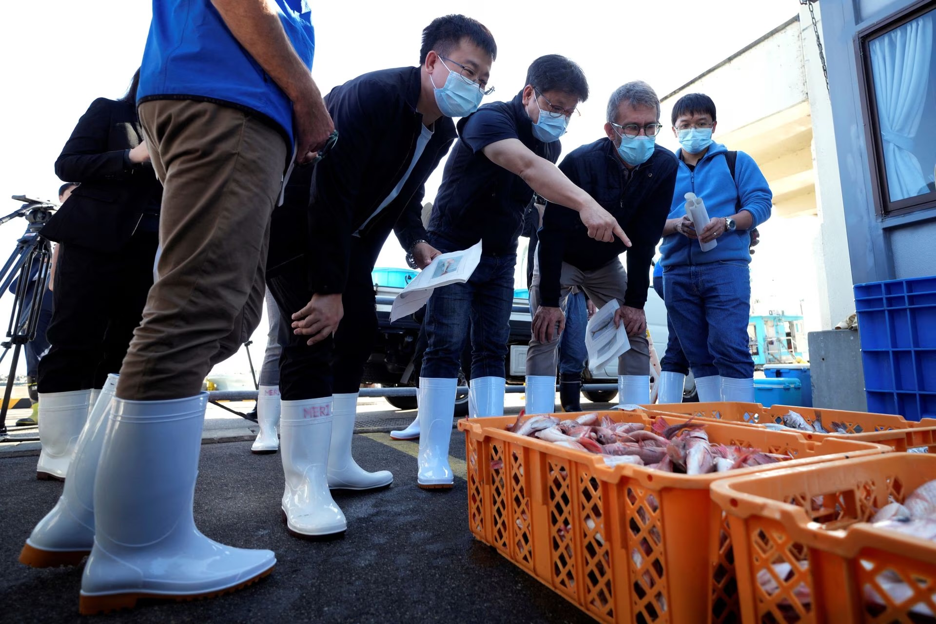 Scientists launch study to assess environmental impact of Fukushima's treated radioactive water release 