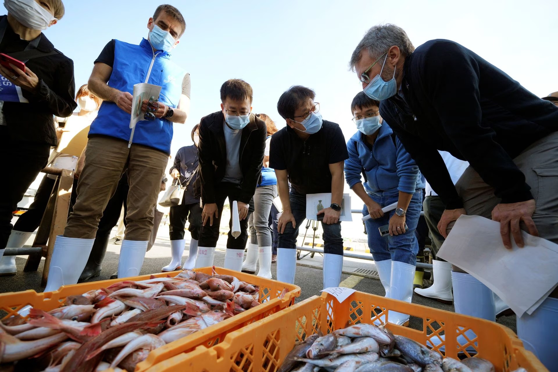 Scientists launch study to assess environmental impact of Fukushima's treated radioactive water release 
