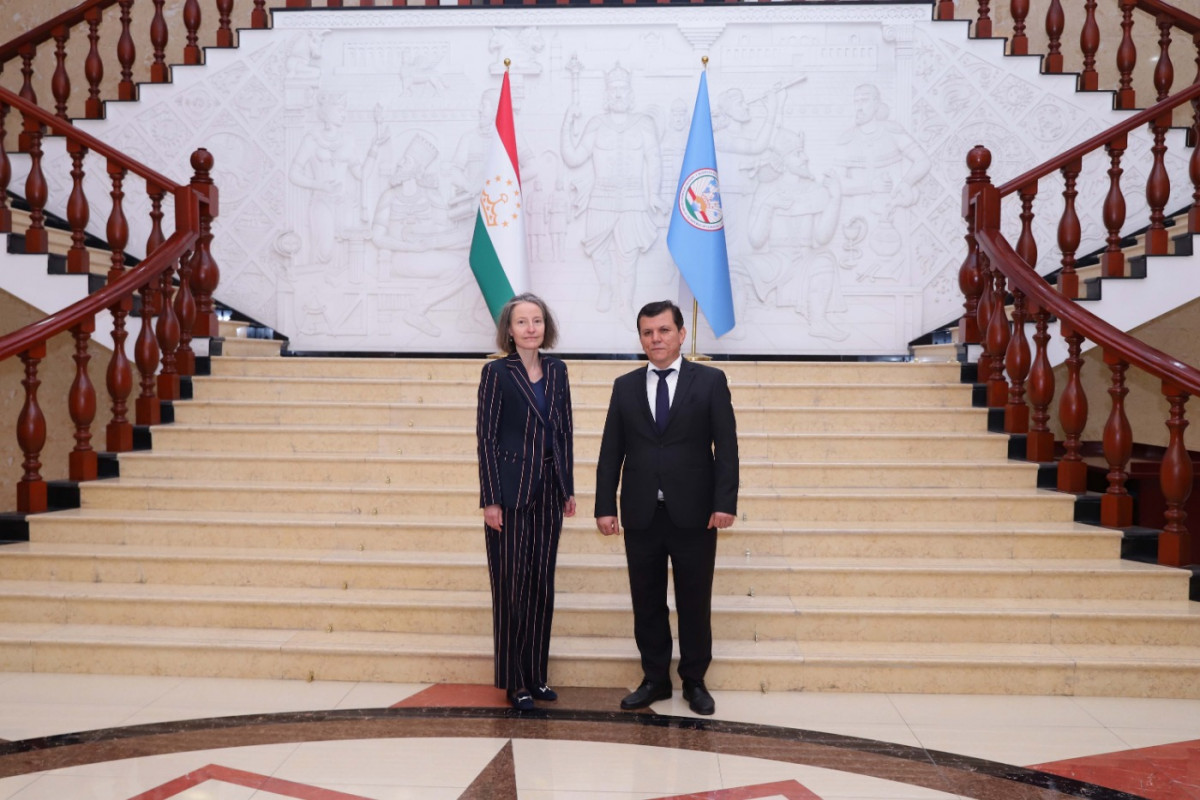 Representatives discuss political, economic, and developmental initiatives between Tajikistan and Switzerland.