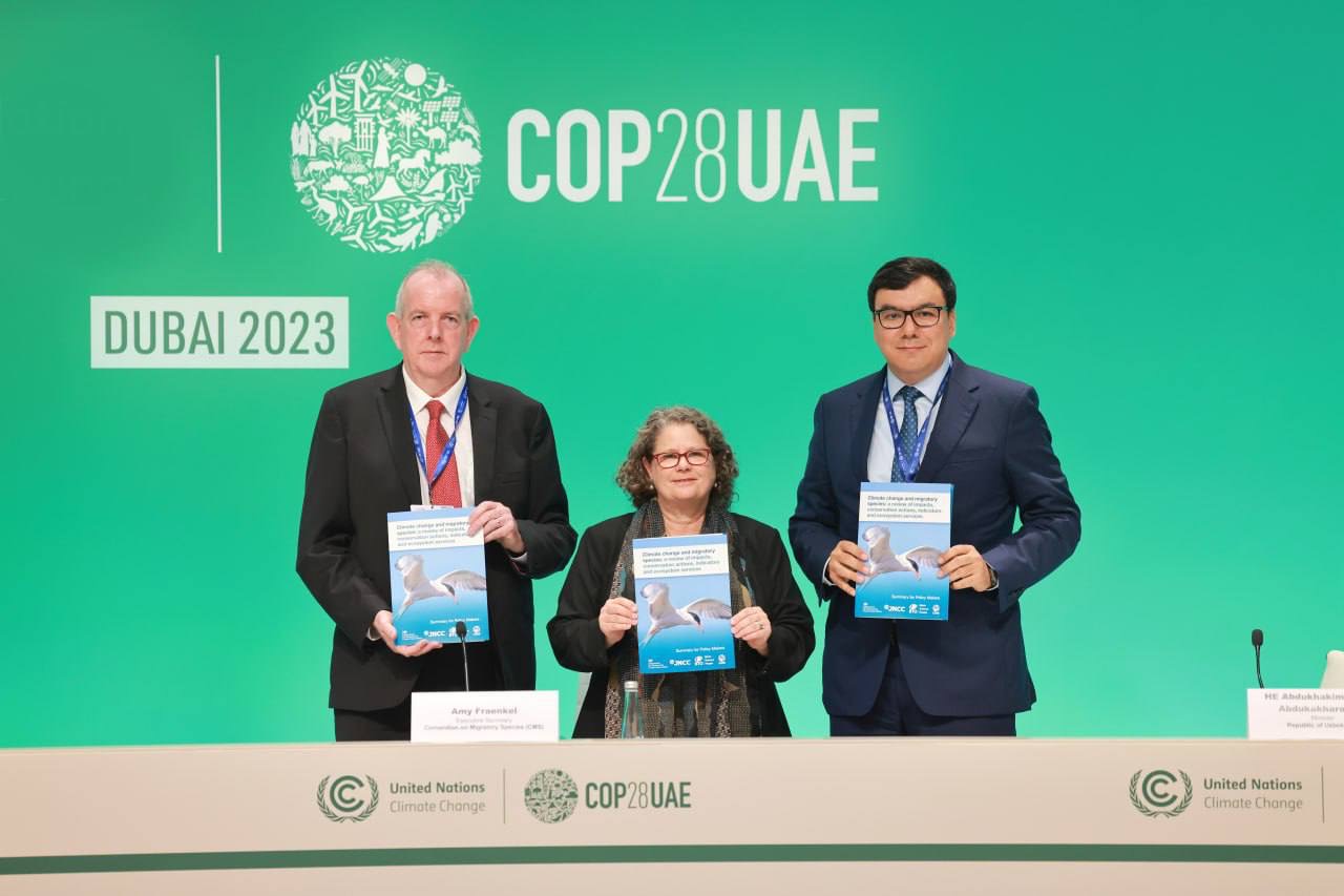COP28 spotlights the urgent climate threat faced by migratory wildlife