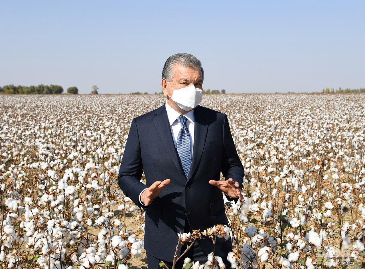 President Shavkat Mirziyoyev's reforms remove 2 million children and 500,000 adults from forced labor President Shavkat Mirziyoyev's reforms remove 2 million children and 500,000 adults from forced labor