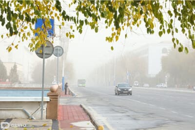 O‘zbekistonda atmosferaga chiqarilayotgan gazlarni hisobga olish bo‘yicha Milliy reyestr yaratiladi