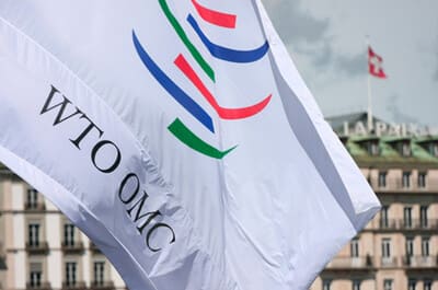 O‘zbekistonda 5 ta qonun JST bitimlariga uyg‘unlashtirildi