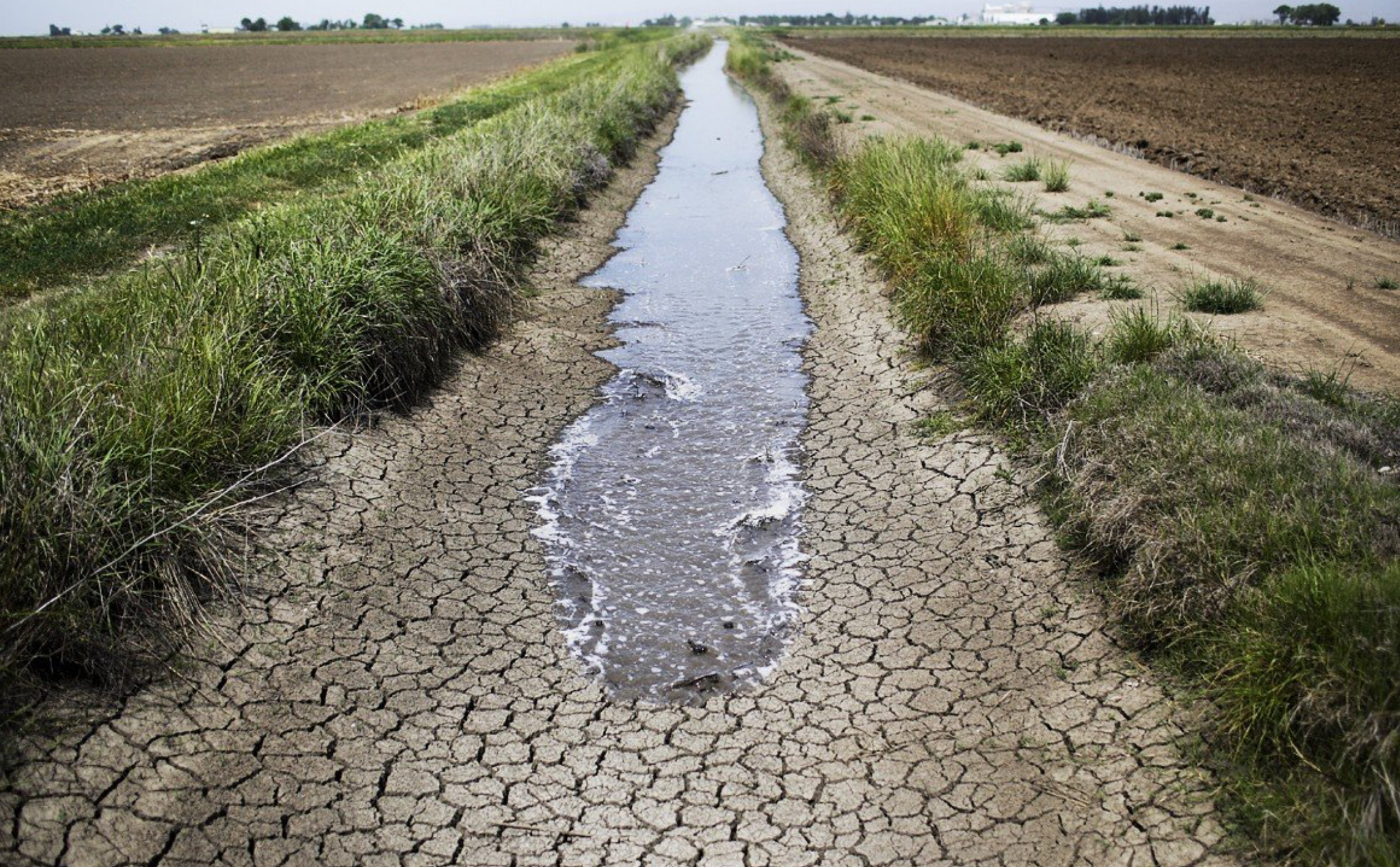 Senator Siddikov Presses for Immediate Water Management Action