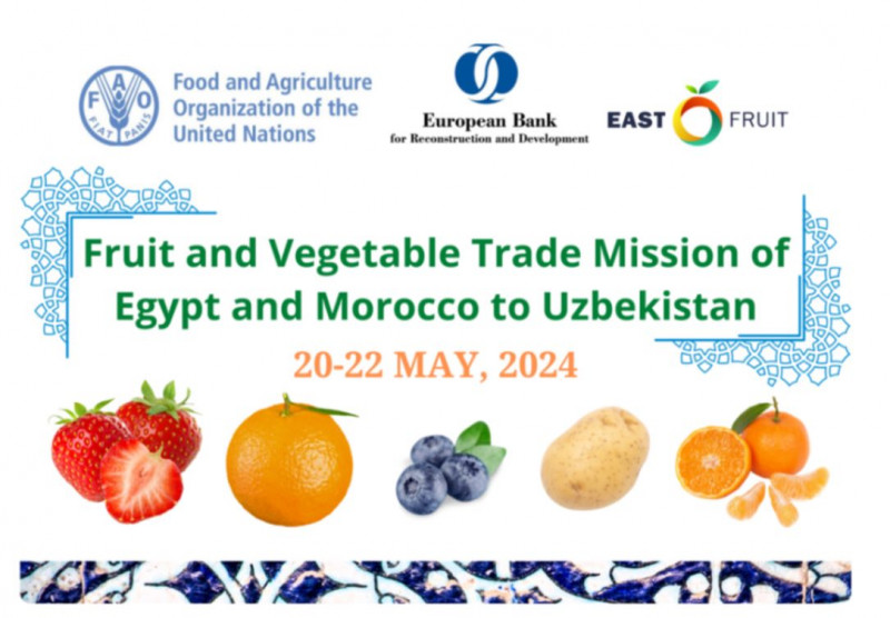 Egypt and Morocco fruit and vegetable exporters to explore Uzbekistan market