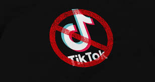 Kazakhstan considers blocking TikTok amid concerns over illegal content and harmful influence