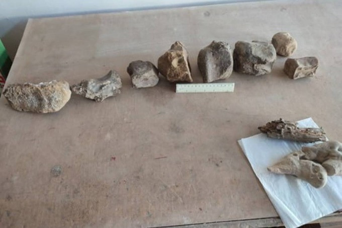 Scientists find 70 mn year old dinosaur bone in Karakalpakstan