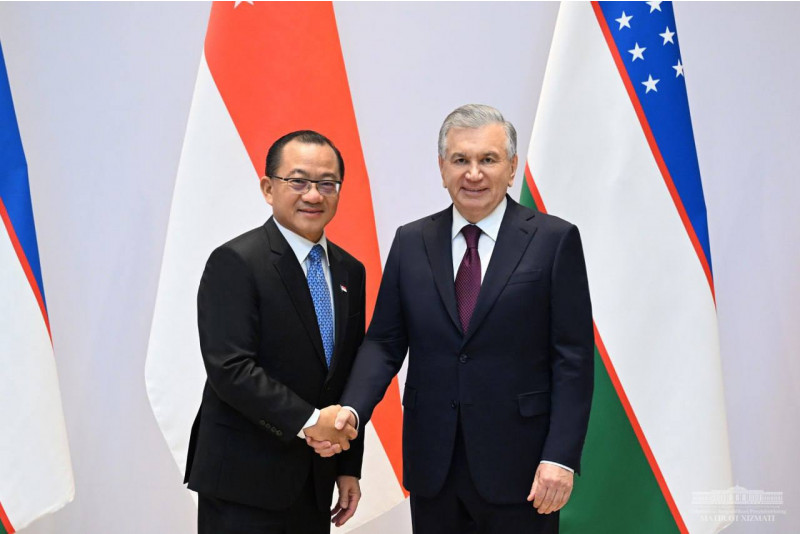 Uzbekistan and Singapore stress need for joint parliamentary oversight