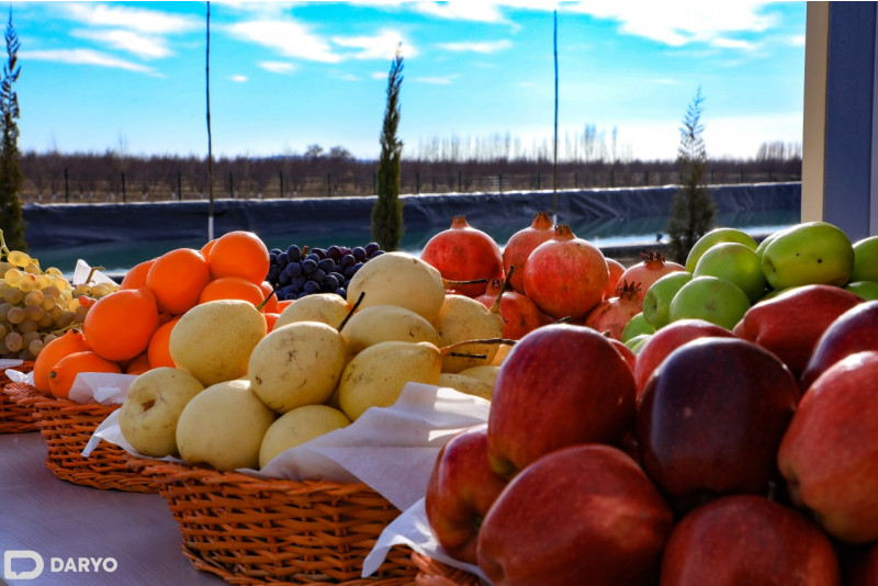 Uzbekistan to increase imports of fruits from Egypt and Morocco
