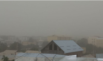 Surxondaryoda “afg‘on shamoli”, Qashqadaryoda kuchli shamol kuzatildi