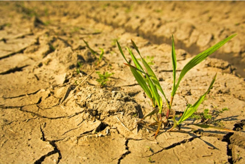 В Париже Всемирный день борьбы с засухой посвятили Казахстану