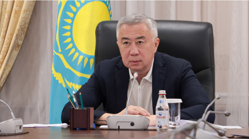Kazakhstan treats 66% of locust-affected areas, bolsters border security 