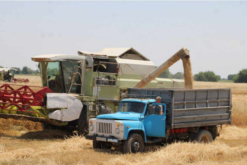 Ўзбекистонда фермерлар давлатга 9 миллион тонна ғалла топширишни режа қилган