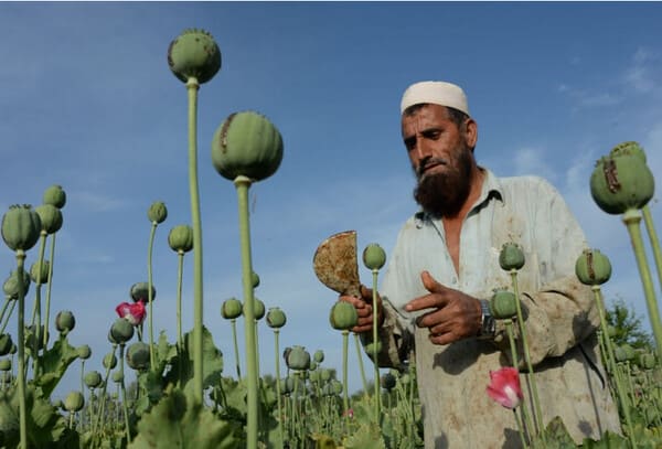 Japan pledges $9.3mn grant to combat Afghanistan's drug issues 