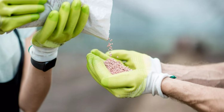 Tajikistan makes first-ever export of mineral fertilizers to Afghanistan 