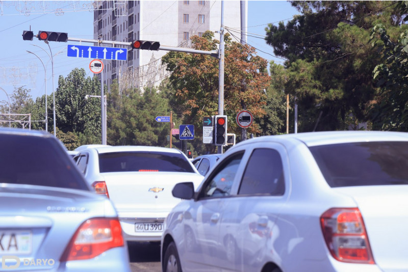 За первое полугодие 2024 года в Узбекистане количество человек, виновных в нарушении правил дорожного движения и их использования, превысило 1,5 тысяч человек