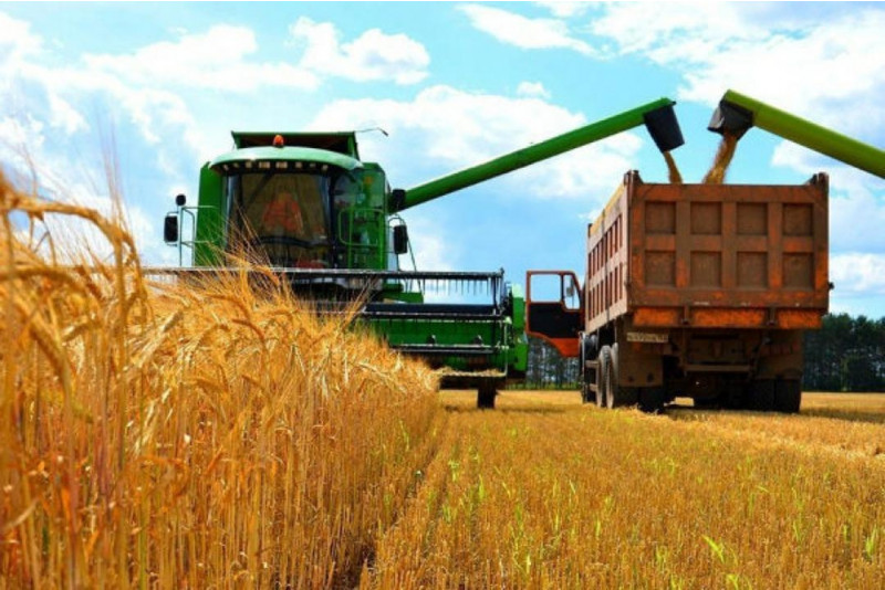 Kazakhstan's agriculture sector sees soft loans reach $1.2 bn for first time
