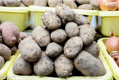 Kyrgyzstan advances potato exports to Uzbekistan with retail partnerships 