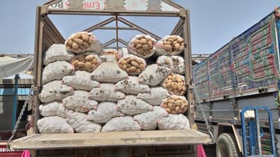 Uzbekistan’s Termez market receives 250 tons of potatoes from Afghanistan  