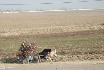 Toshkent viloyatida qancha kambag‘al oila borligi ma’lum qilindi