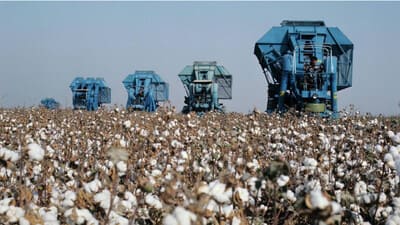 Tajikistan harvests over 163,000 tons of cotton