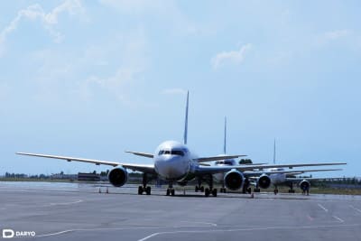 Tel-Aviv—Samarqand—Toshkent yo‘nalishidagi aviaqatnov majburiy kechiktirildi