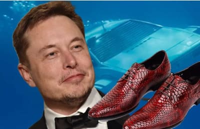 Piton terisidan tufli, suvosti avtomobili va Twitter: Ilon Mask milliardlarini yana qanday ko‘ngilxushliklarga sarflaydi?