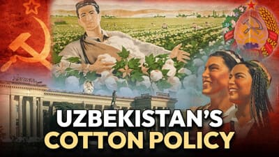 The curse of 'White Gold': How cotton enslaved Uzbekistan 