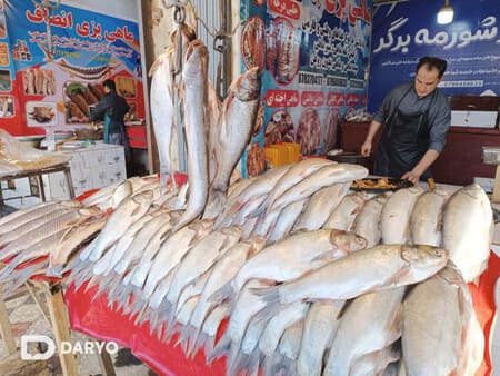 Amudaryoniki qimmat: Afg‘onistonda baliq mavsumi qanday kechmoqda?