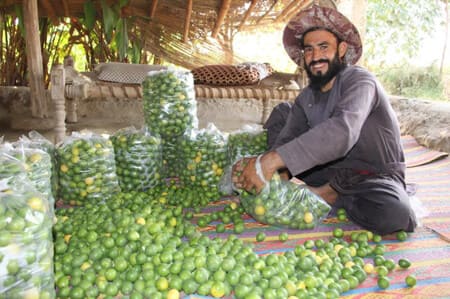 EU funds $16.2mn for Afghanistan’s community resilience programme to strengthen agriculture and livelihoods 