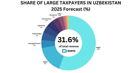 31.6% of Uzbekistan budget 2025 to come from mining, energy, and manufacturing