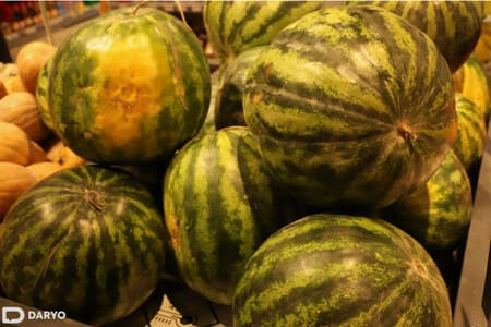 Uzbekistan’s 2024 melon harvest sets record as agricultural exports surpass $1bn 