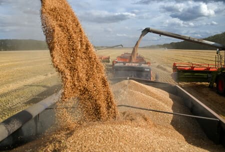 Kazakhstan boosts grain exports to Tajikistan with over 1mn tons shipped in 10M24 