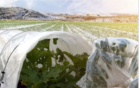 Uzbekistan issues frost protection guidelines for farmers amid cold snap 