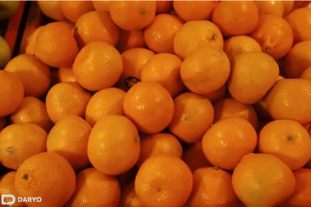 Uzbekistan detects quarantine pest in Pakistani mandarins, suspends imports 