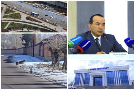 Пискентдаги аҳоли ҳудудида кезиб юрган бўрилар, фаолияти вақтинча тўхтатилган Зомин аэропорти, автомобиллар ҳаракати чекланган Tashkent City: 25 декабрнинг энг муҳим хабарлари