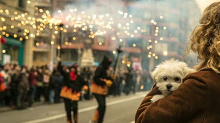 Фейерверки в Новый год: какой ценой достаётся праздничное зрелище?