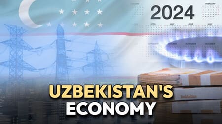 2024: A year of economic challenges and transformations in Uzbekistan