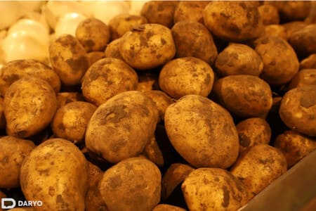 Kazakhstan suspends potato exports to Uzbekistan and other countries amid price surge 