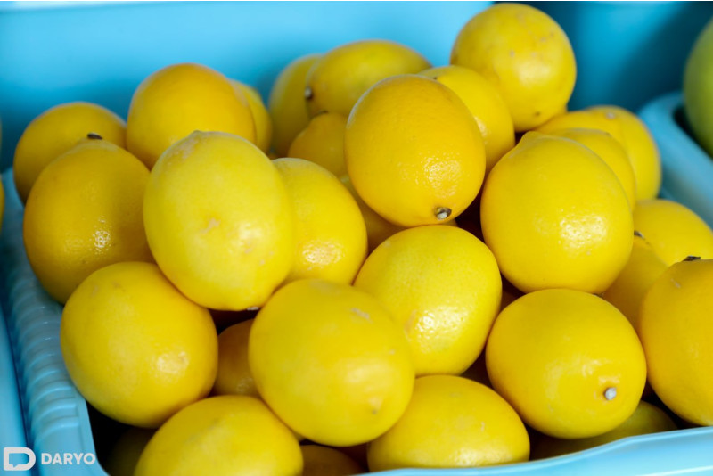 Tajikistan exports over 2,000 tons of lemons in 11M24, down 16.7% y/y 