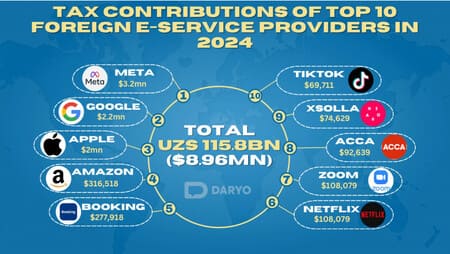 Meta leads, banned TikTok in top ten: ranking of foreign IT companies by tax payments in 2024 