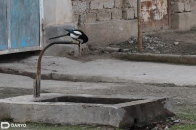 O‘zbekistonda ichimlik suv sifati monitoringini yuritadigan markaziy laboratoriyalar tashkil etiladi