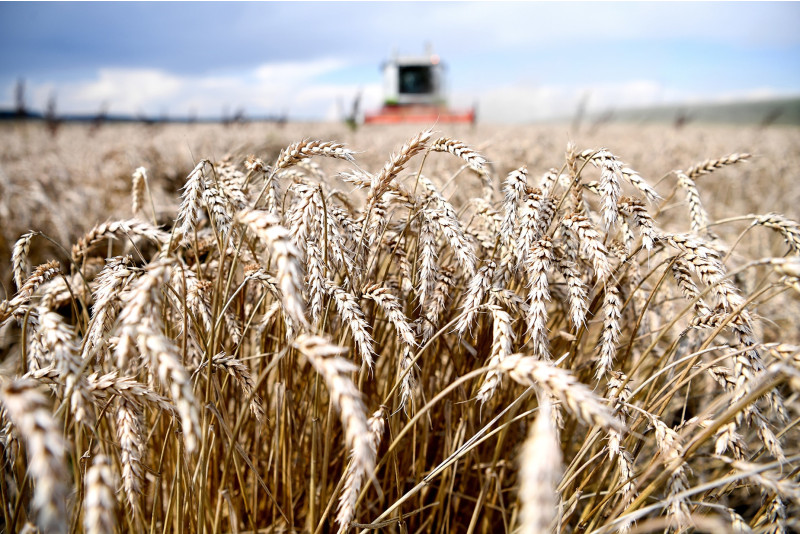 Kazakhstan plans to introduce AI-driven solutions in agriculture by 2025-2026 