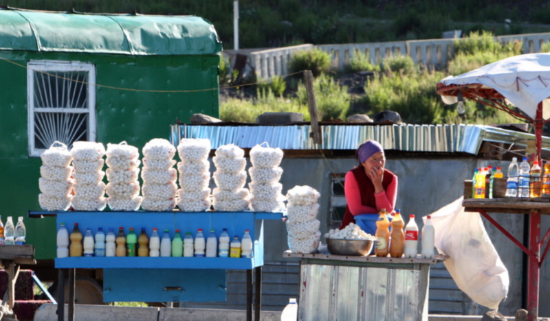 FAO, Kyrgyzstan partner to strengthen food safety and quality standards 