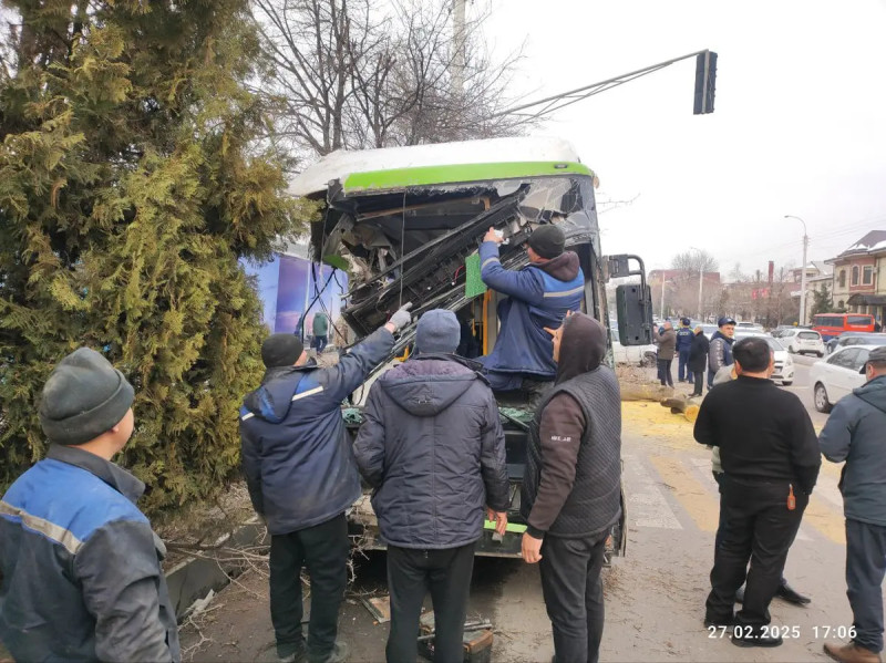 Водитель автобуса, столкнувшегося с деревом в Ташкенте, рассказал подробности происшествия 