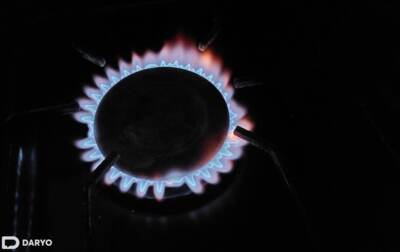 O‘zbekistonda elektr energiyasi va gaz uchun to‘lov oshirilishi 1-mayga qoldirildi