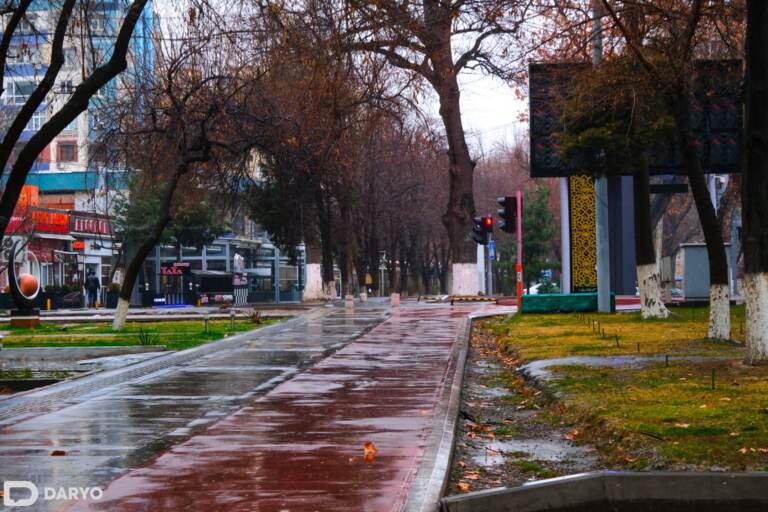 O‘zbekistonda piyodalar yo‘laklaridan harakatlangan haydovchilar javobgarlikka tortiladi 
